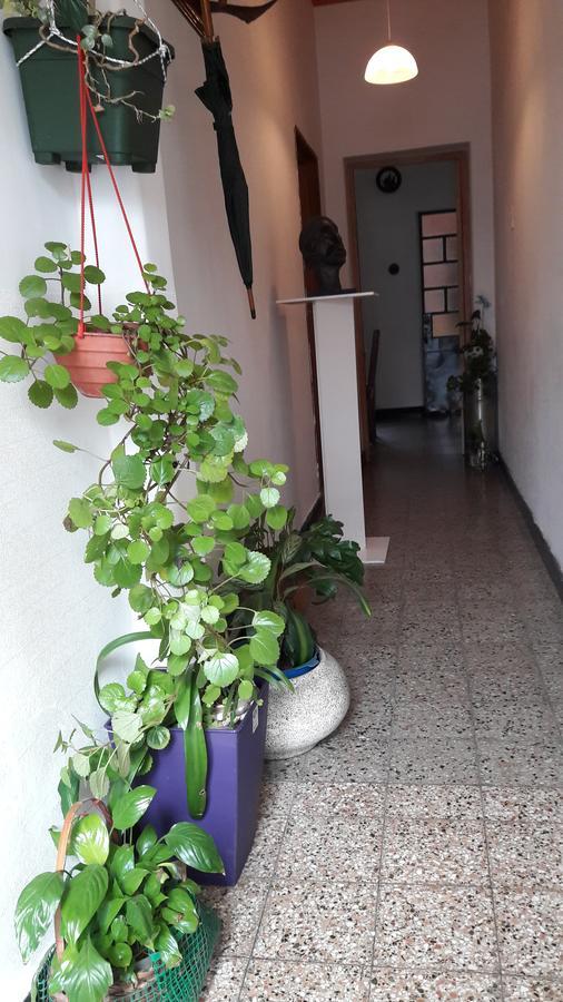 Enmicasassj-Rosario Apartment Bagian luar foto