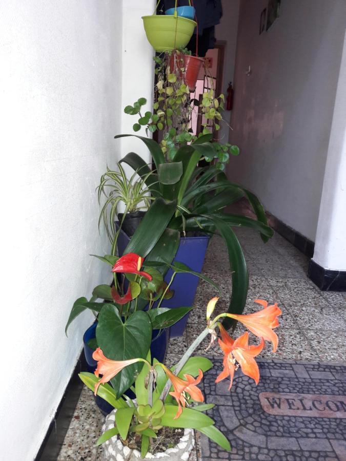 Enmicasassj-Rosario Apartment Bagian luar foto